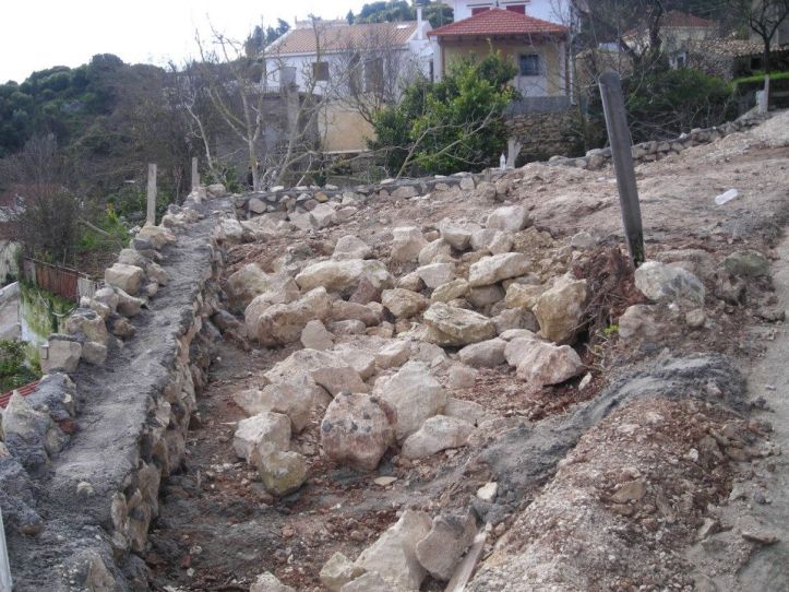 542245_406754072741112_526604373_n