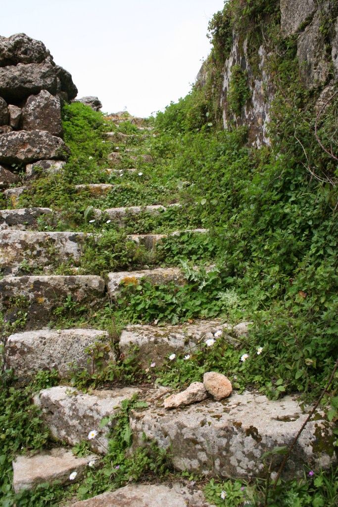 2007-ΤΑΦΙΟΣ-αρχειο Επρεπε- Βασιλατου Κώστα (92)