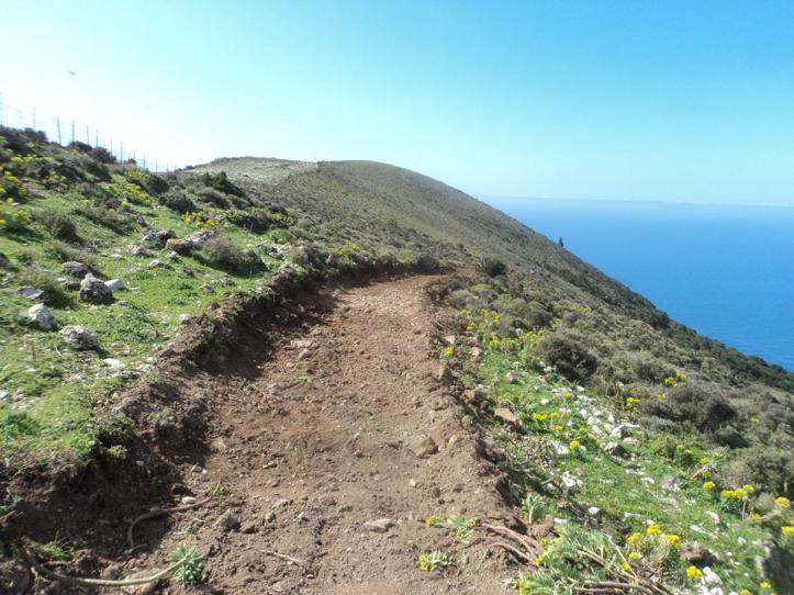 20522_1426498580977078_833908331374444451_n