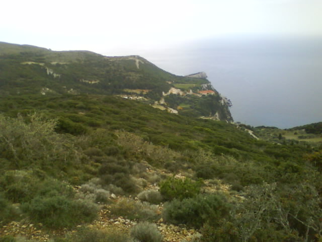 Κηπουρια  2012 (9)