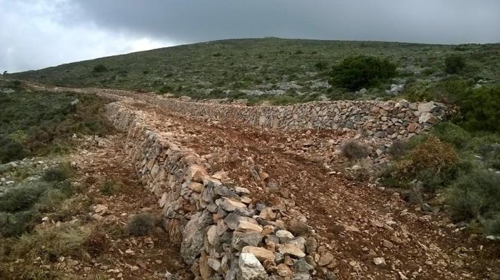 Περιβαλοντολογικα Μονοπατια (11)