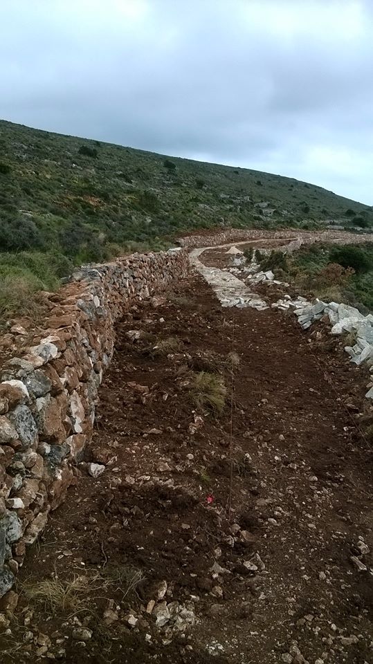 Περιβαλοντολογικα Μονοπατια (13)