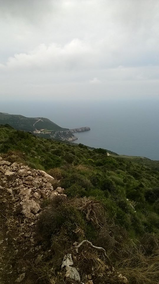 Περιβαλοντολογικα Μονοπατια (19)