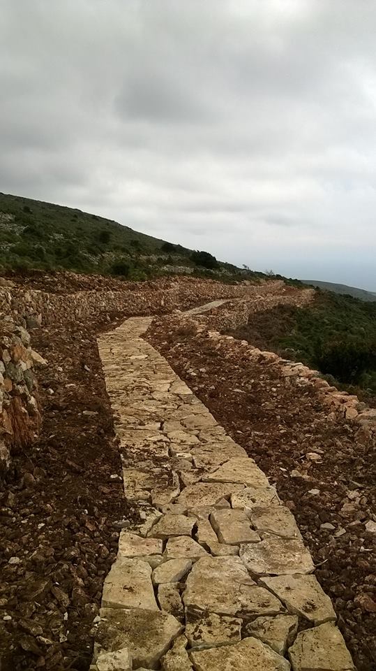 Περιβαλοντολογικα Μονοπατια (8)