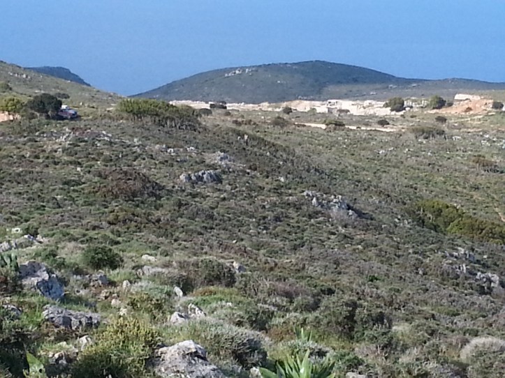 Μαντρι κατω απο φυλακια-20150425_091820 (1)