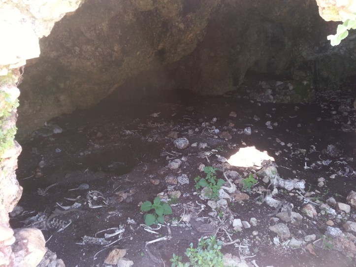 Μαντρι κατω απο φυλακια-20150425_091820 (12)