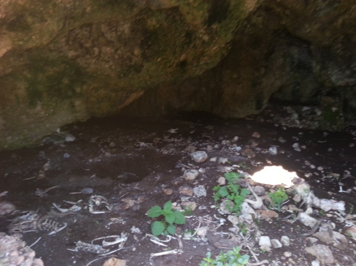 Μαντρι κατω απο φυλακια-20150425_091820 (13)