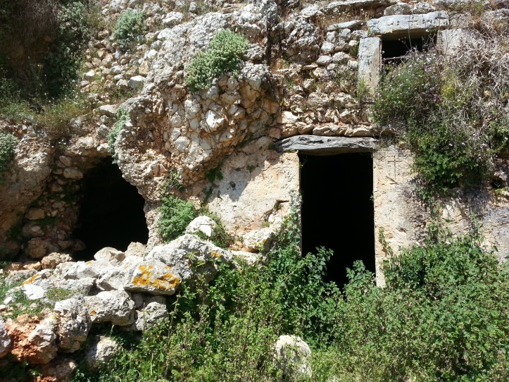 Μαντρι κατω απο φυλακια-20150425_091820 (16)