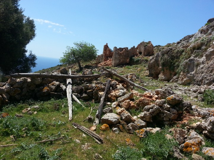 Μαντρι κατω απο φυλακια-20150425_091820 (17)