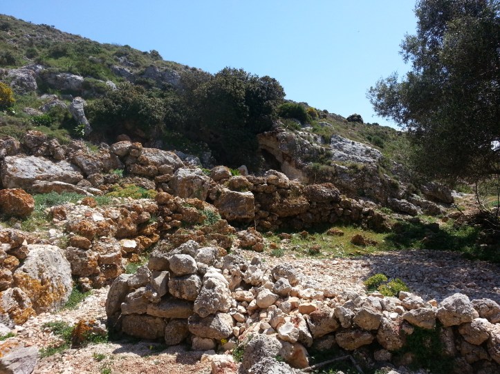 Μαντρι κατω απο φυλακια-20150425_091820 (19)