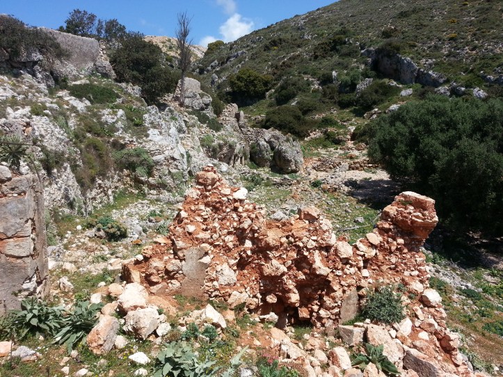 Μαντρι κατω απο φυλακια-20150425_091820 (2)