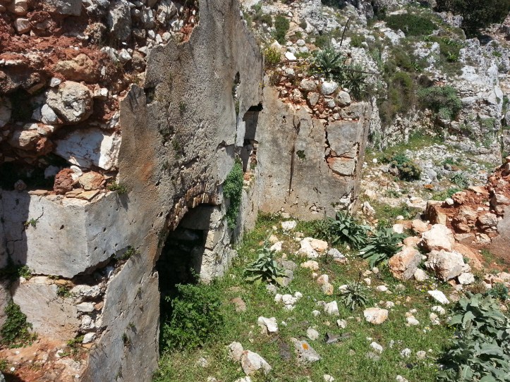 Μαντρι κατω απο φυλακια-20150425_091820 (3)