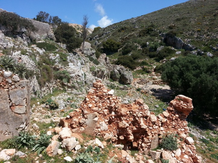 Μαντρι κατω απο φυλακια-20150425_091820 (5)