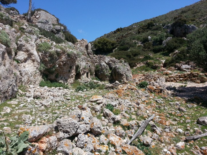 Μαντρι κατω απο φυλακια-20150425_091820 (7)