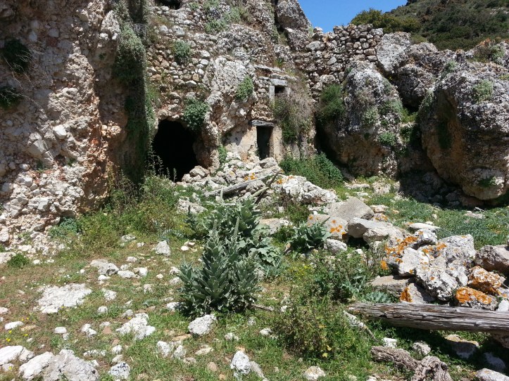 Μαντρι κατω απο φυλακια-20150425_091820 (9)