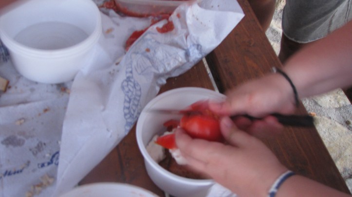 2015-08-17 πεζοπορια-Ριγαναδα (186)