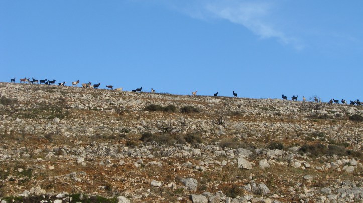 2016-08-19-%cf%81%ce%b9%ce%b3%ce%b1%ce%bd%ce%b1%ce%b4%ce%b1-132