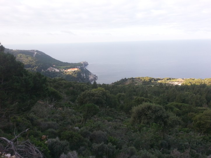 %ce%ba%ce%b7%cf%80%ce%bf%cf%85%cf%81%ce%b9%ce%b1-%ce%b1%cf%80%ce%bf-%cf%80%ce%b7%ce%b3%ce%b1%ce%bd%ce%bf-20161118_083856-3